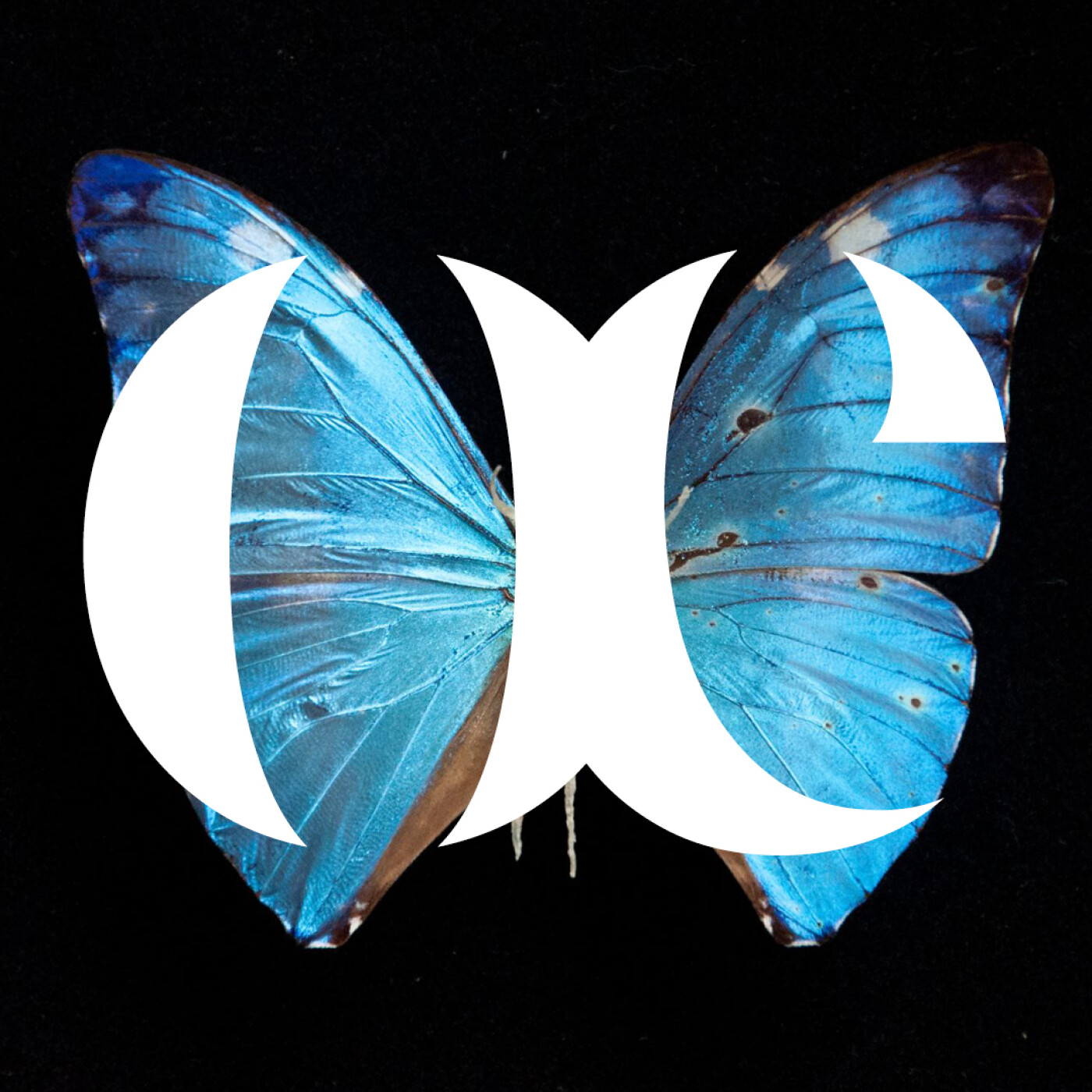 ouexpo