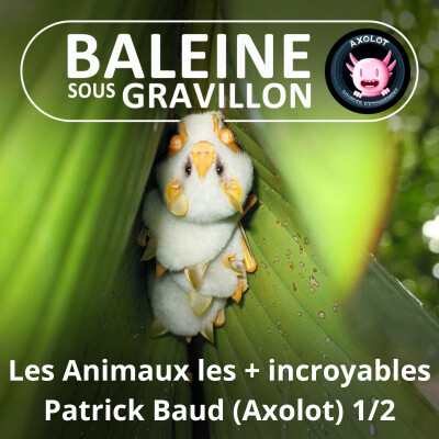 S02E43 Les Animaux les plus incroyables 2/2 (Patrick Baud, créateur d'Axolot) cover