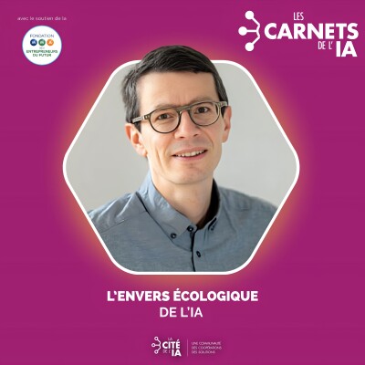 #62 - Romain Rouvoy - L'envers écologique de l'IA cover