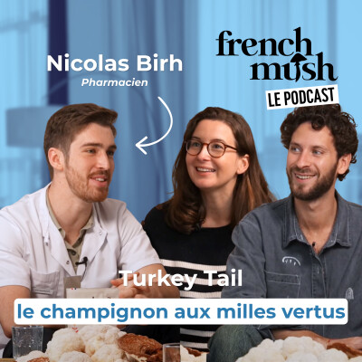 Turkey Tail | le champignon aux MILLE VERTUS cover