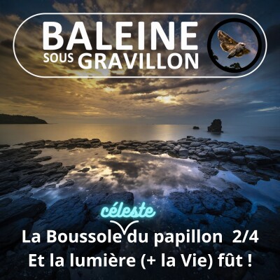 S08E13 La Boussole céleste du papillon 2/4 : Et la lumière (+ la Vie) fût ! cover