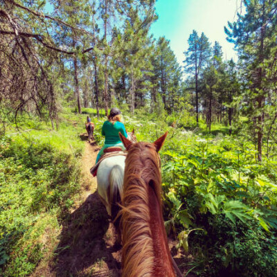 Parcourez la Normandie à cheval ! cover