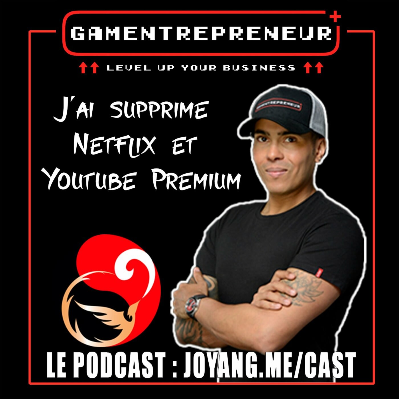 Pourquoi j'ai arrêté mes abonnements Netflix et Youtube Premium... et pris ça à la place ! episode artwork