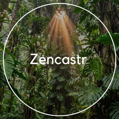 Zencastr cover