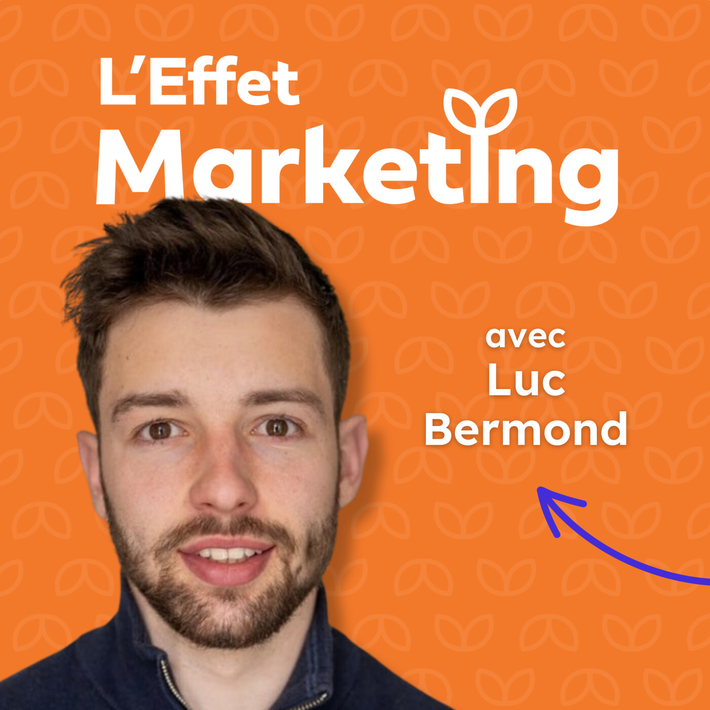 L\'Effet Marketing