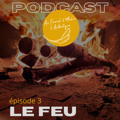 LE FEU - épisode 3 cover