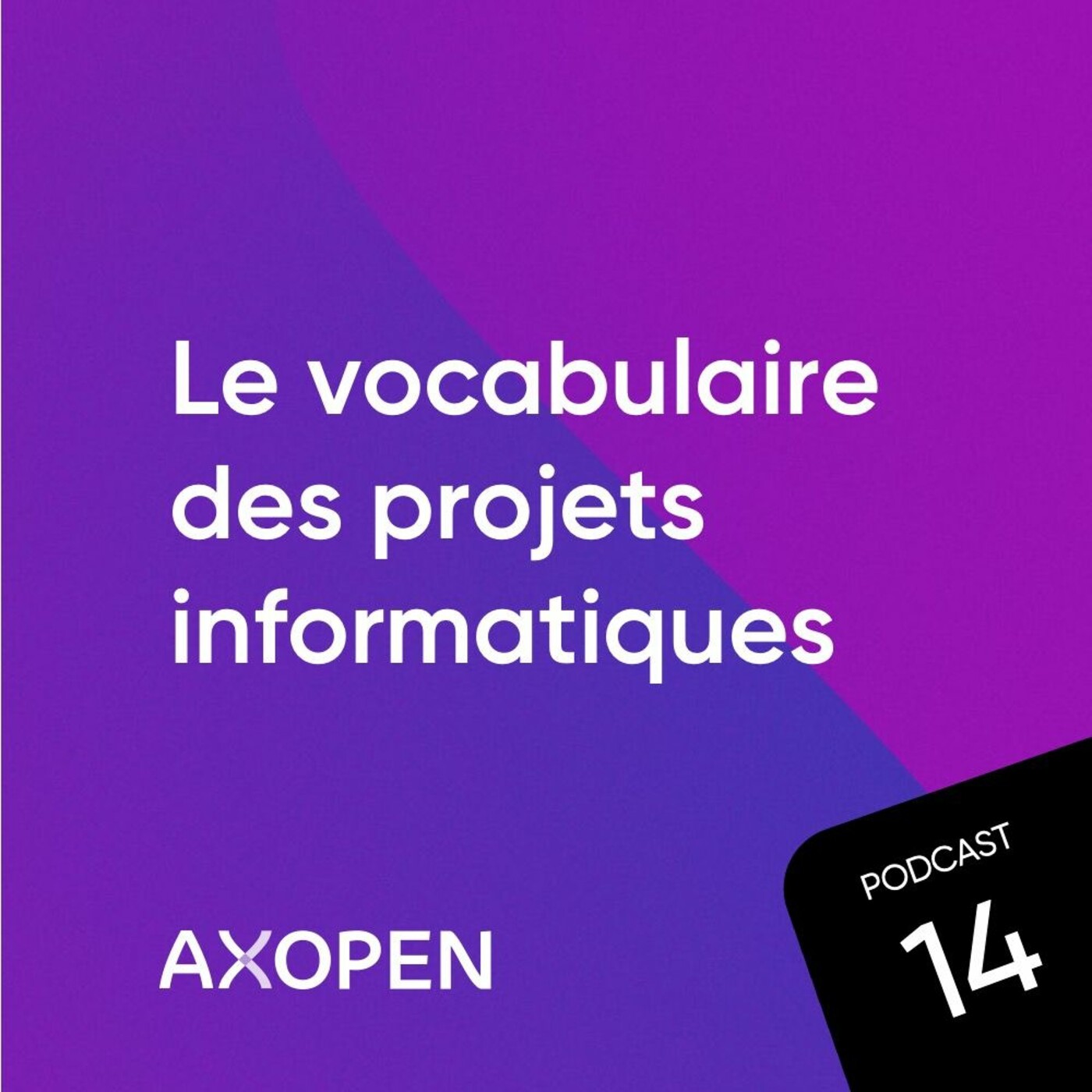Le vocabulaire des projets informatiques