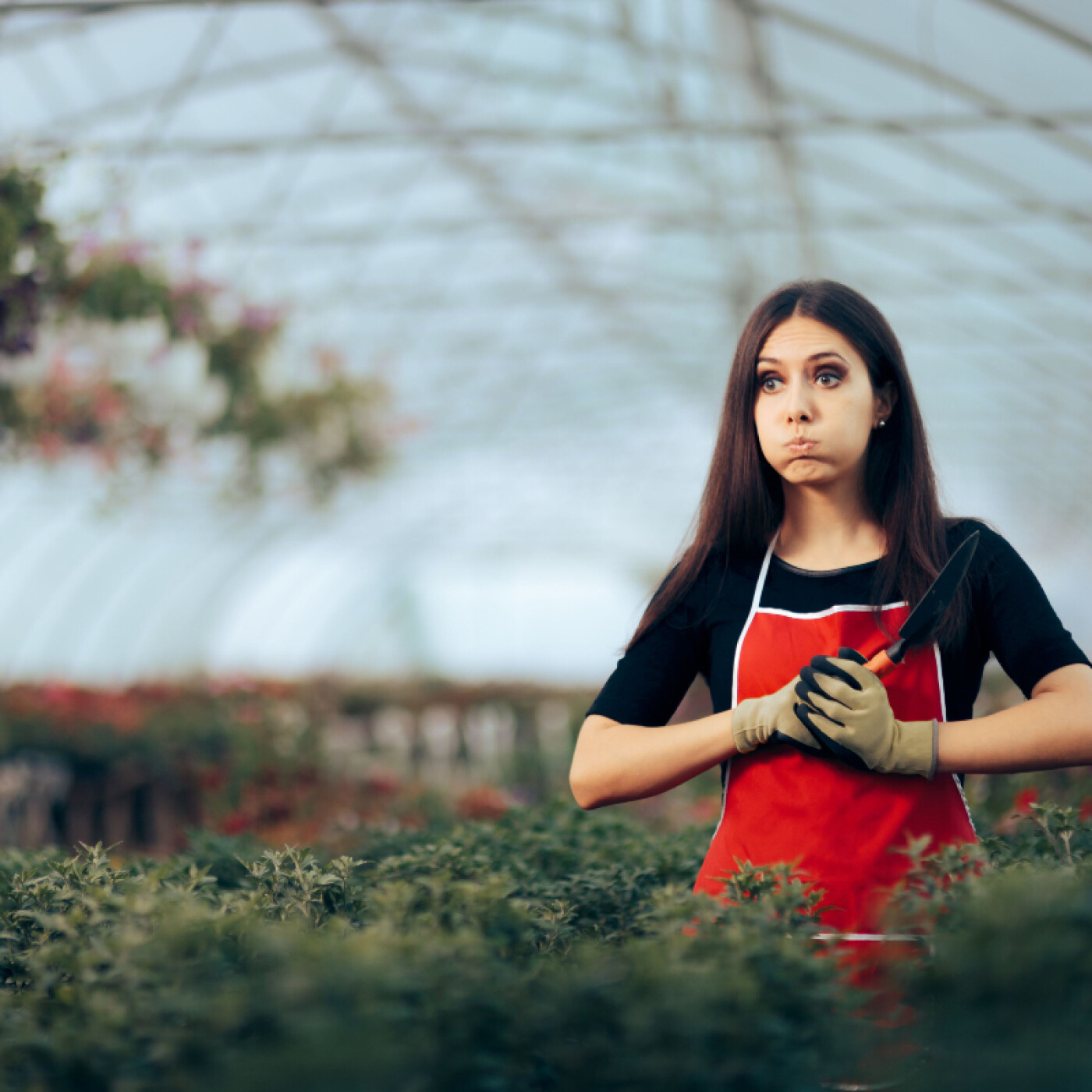 Replay - Sanef 107.7 - 2024/2025