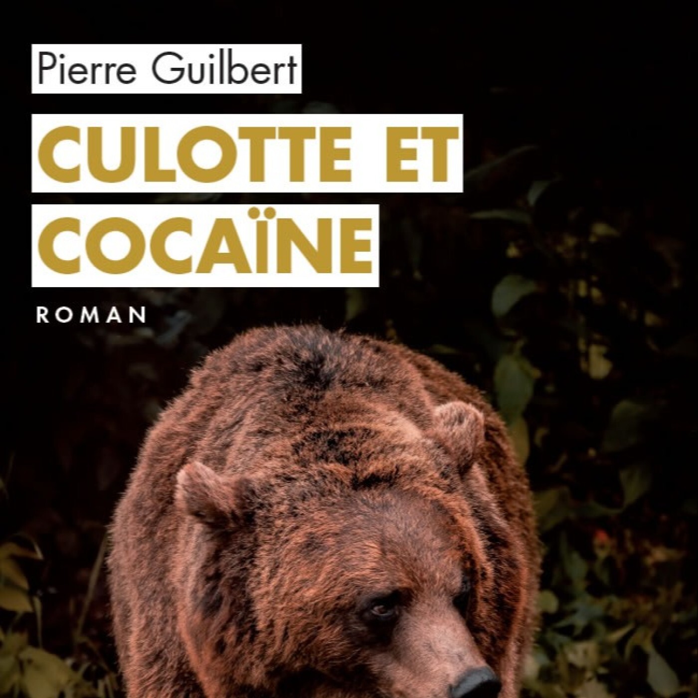 Passeurs et reveurs de mots - Culotte et cocaïne de Pierre Guilbert,