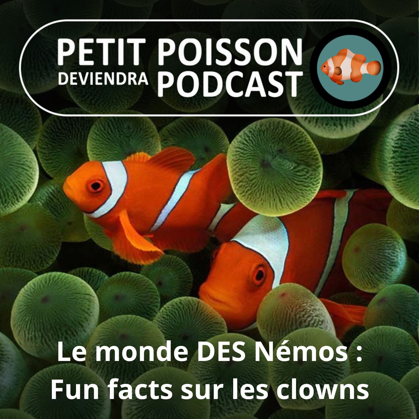 Petit Poisson deviendra Podcast