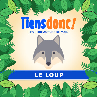 Le grand méchant loup… vraiment ? cover