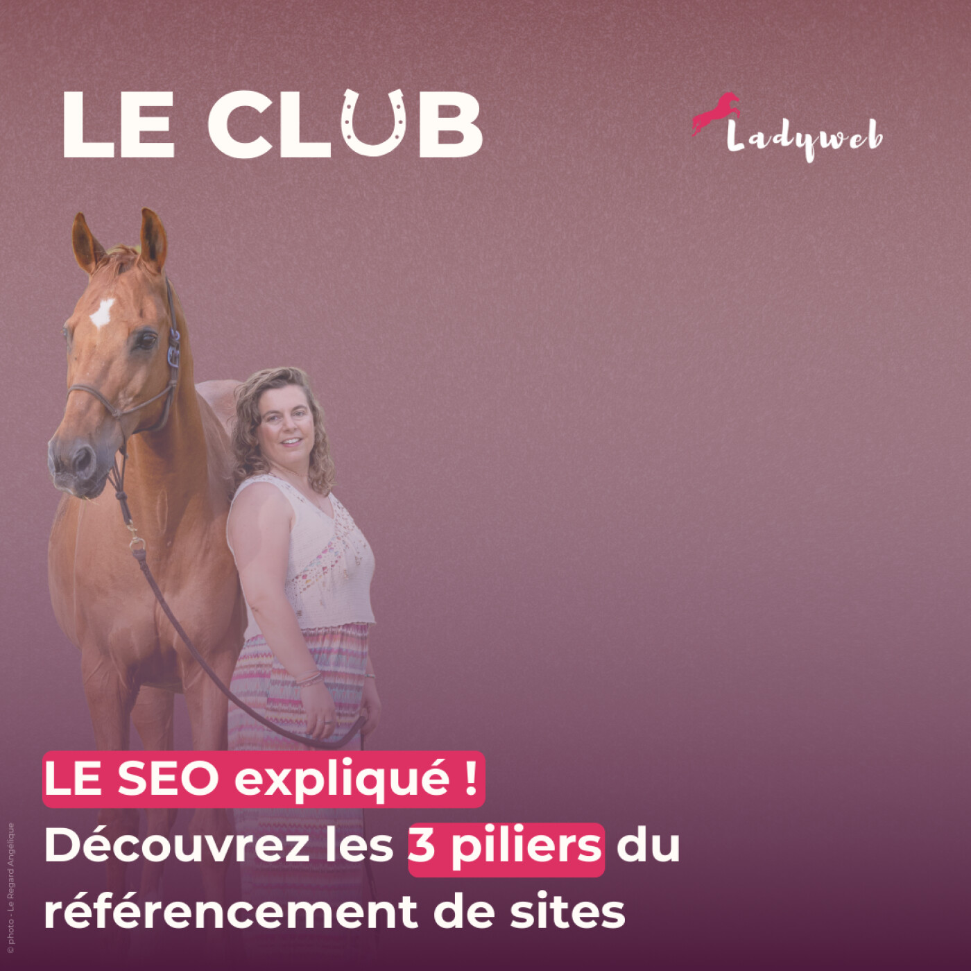 Le Club - Marketing Equestre