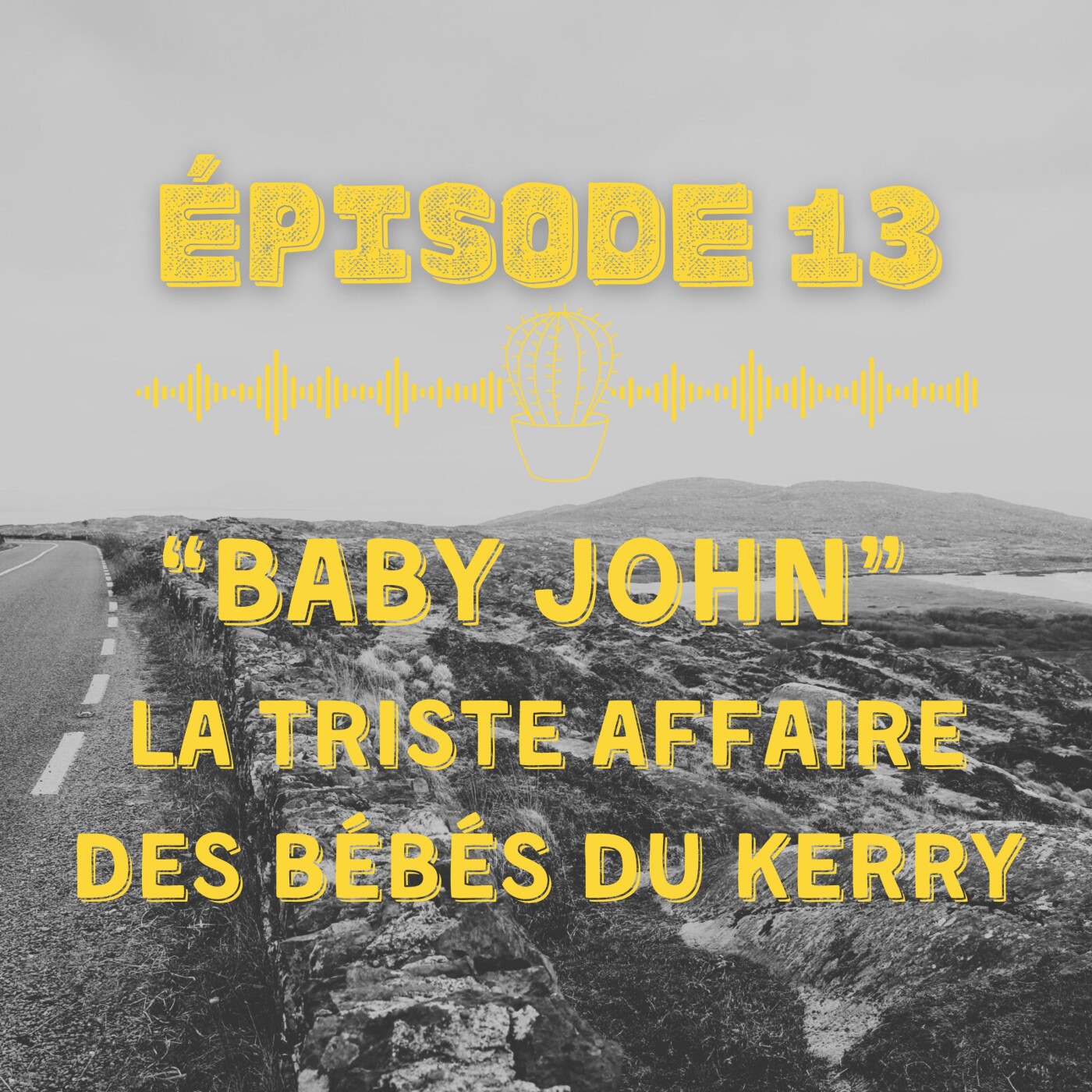« Baby John » la triste affaire des bébés du Kerry