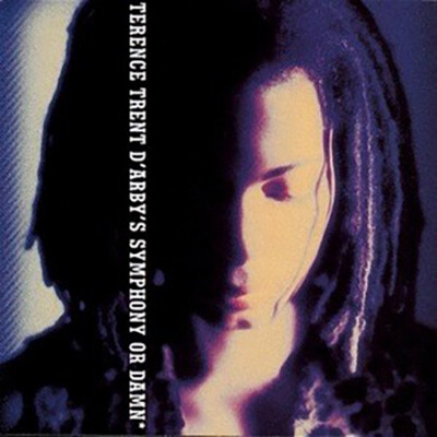 UN JOUR UN DISQUE #475 TERENCE TRENT D'ARBY cover