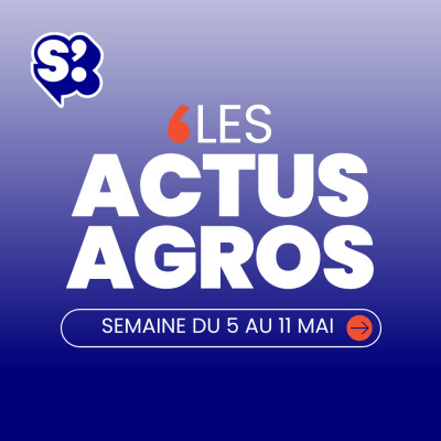 Actualités agroalimentaires S19 - NielsenIQ x VusionGroup, l'illusion des plats cuisinés, part de marché des enseignes cover