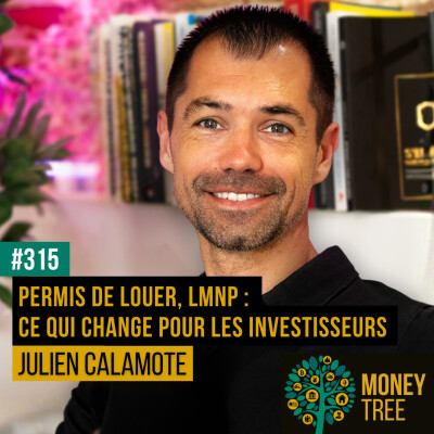 #315 - Permis de louer, LMNP : ce qui change pour les investisseurs [CAPS] cover