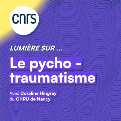Lumière sur... Le psychotraumatisme cover