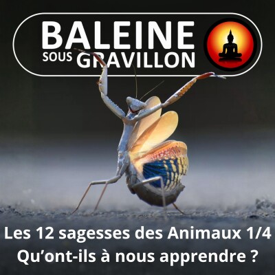 S03E50 Les 12 sagesses des Animaux 1/4 : S'inspirer d'eux pour vivre mieux (Yolaine de La Bigne) cover