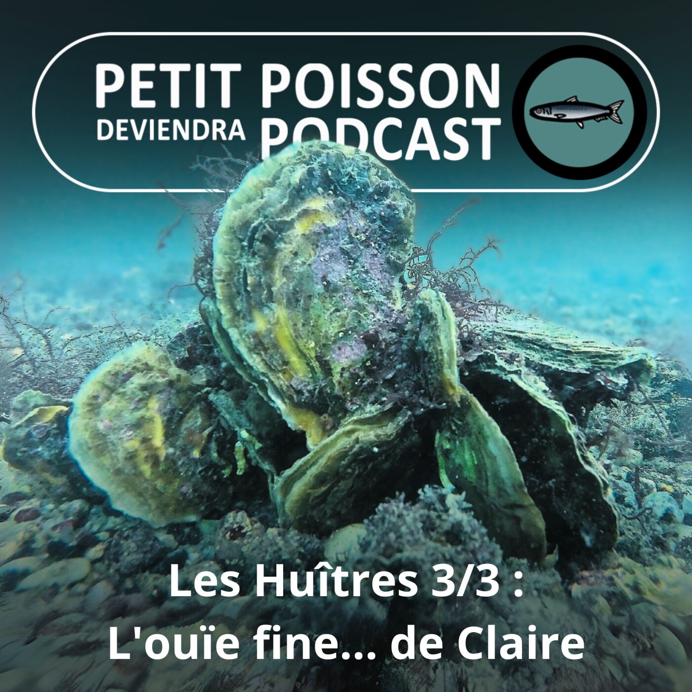 Petit Poisson deviendra Podcast