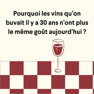 Pourquoi les vins qu’on buvait il y a 30 ans n’ont plus le même goût aujourd’hui ? cover