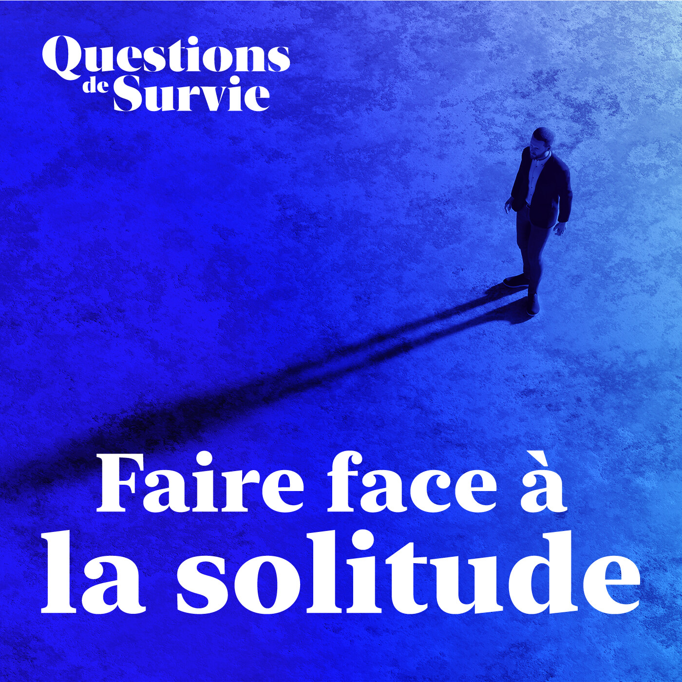 Questions de Survie