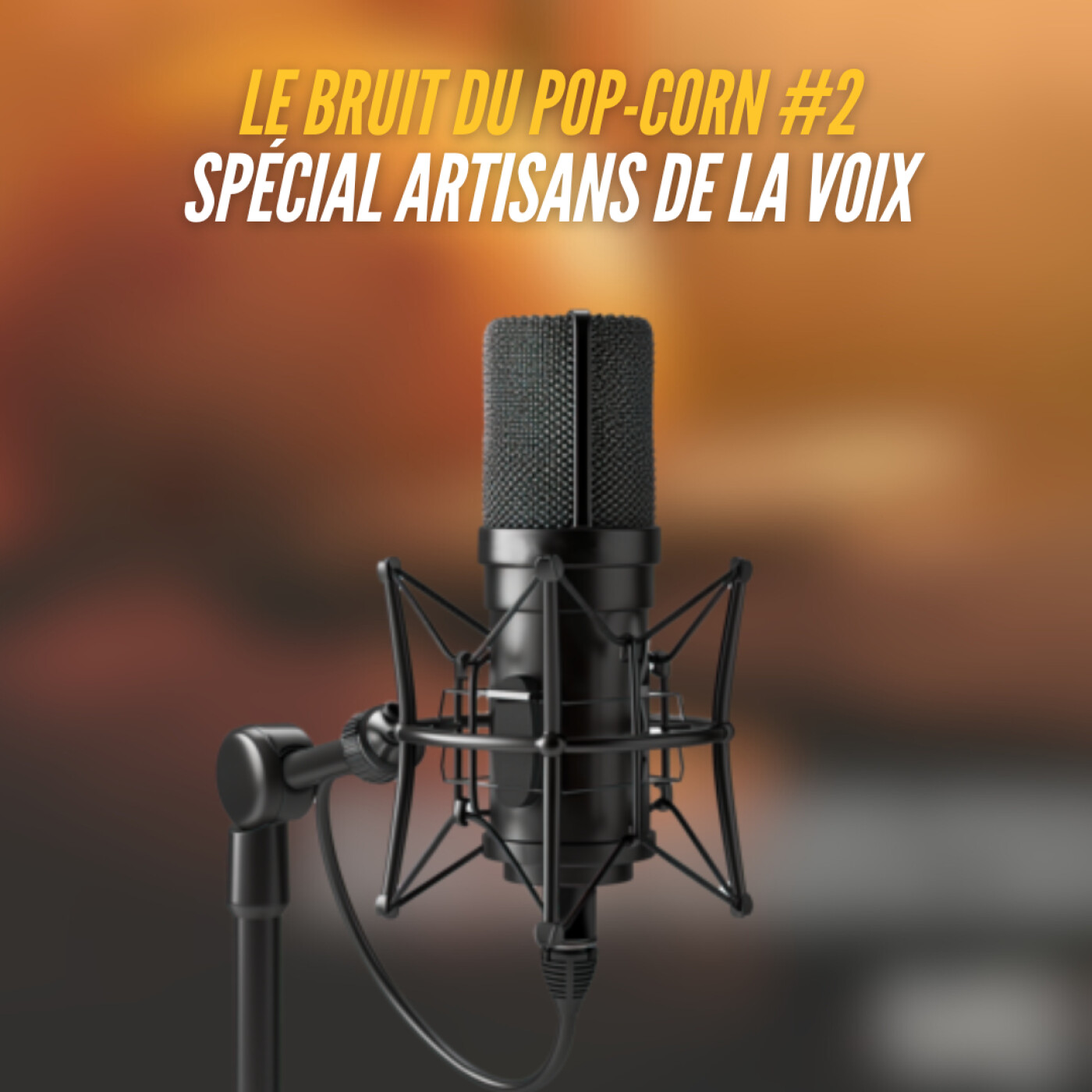#2 : Spécial Artisans de la Voix