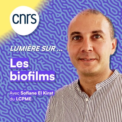 Lumière sur... Les biofilms cover
