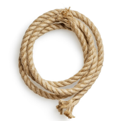 Appel n°48 : Vous dominez, maîtresse ? cover