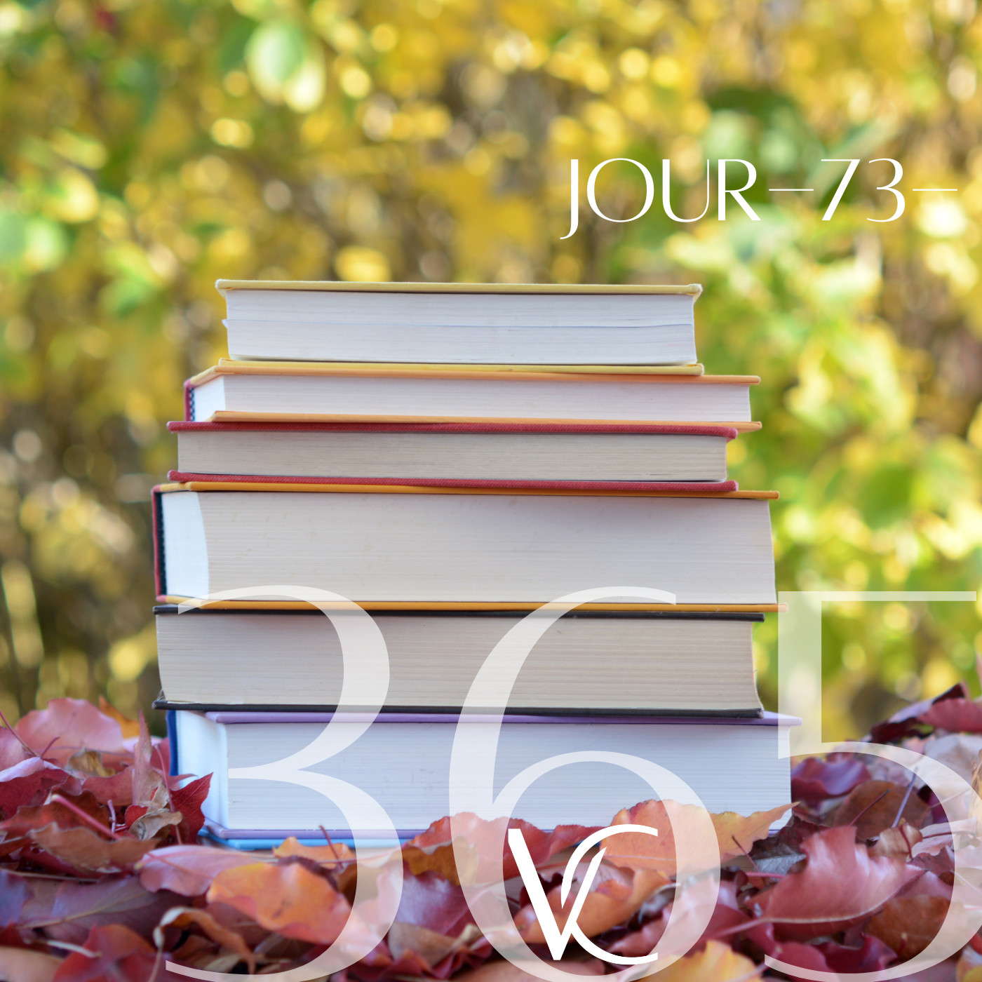 LIVE 365 by Valérie Carchi