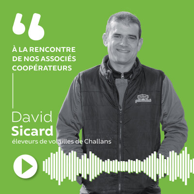 David Sicard - Éleveur de volailles de Challans cover