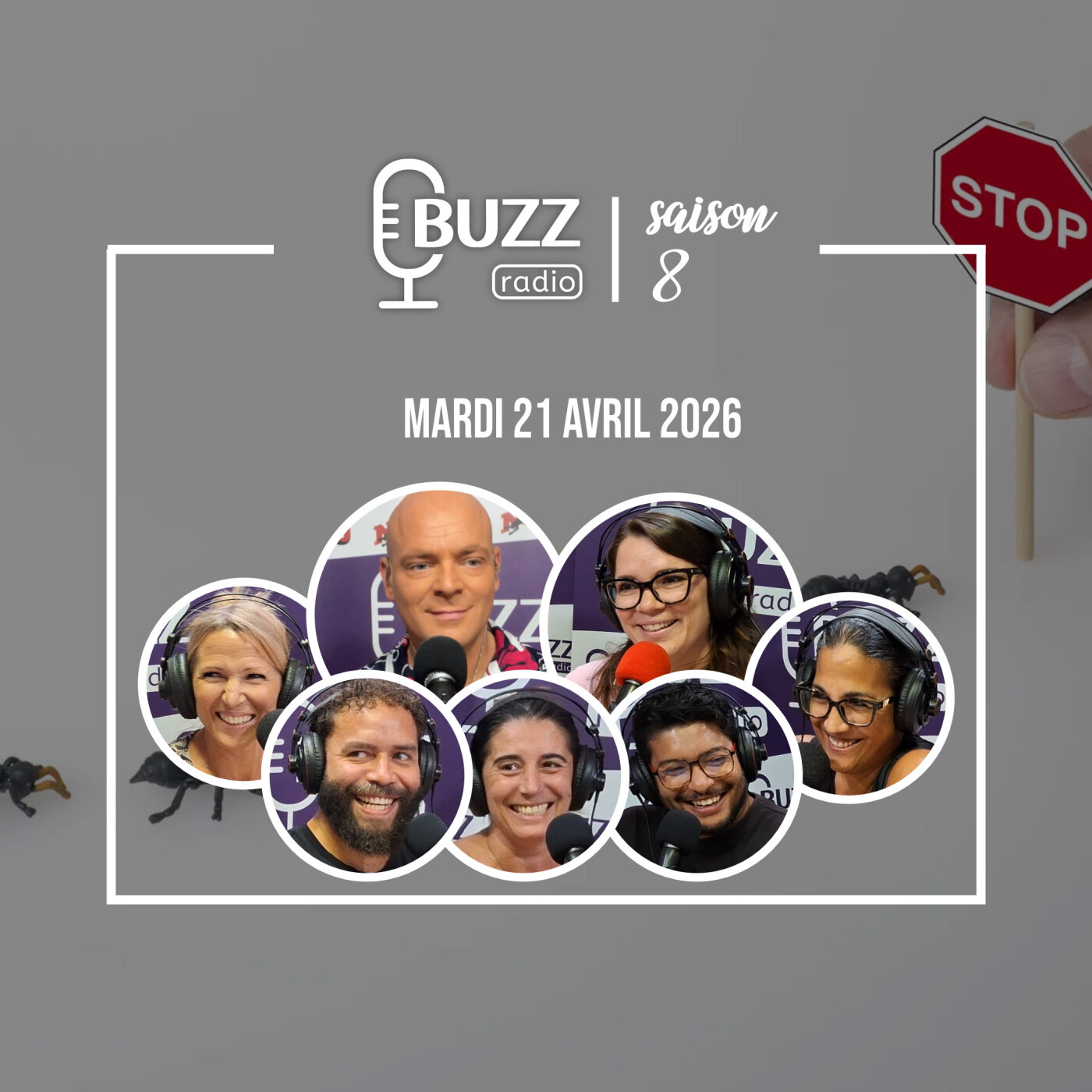 Mardi 21/04/2026 - Les insectes dans nos maisons episode artwork