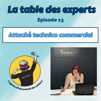 LA TABLE DES EXPERTS N°13 - Découvre le métier d'attaché technico commercial - Théodore maison de peinture cover