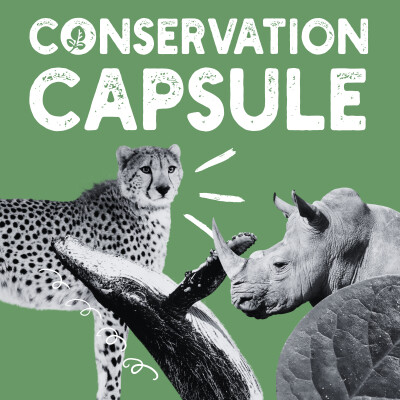 (19) "Blake Moynes: The Power of Passion in Conservation Efforts" cover