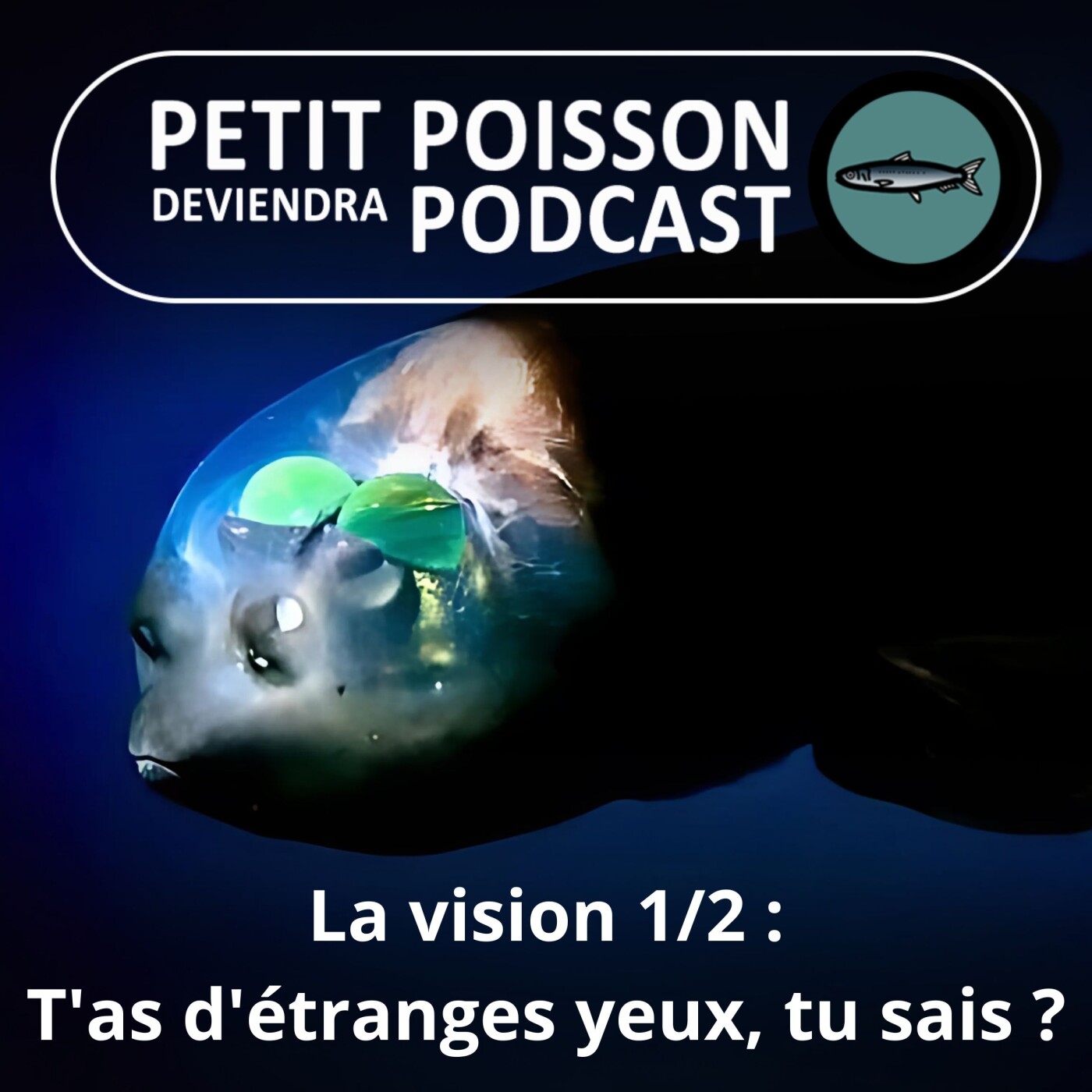 Petit Poisson deviendra Podcast