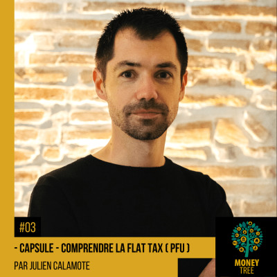 #3 [CAPS] Comprendre le prélèvement forfaitaire unique (PFU / Flat tax) cover