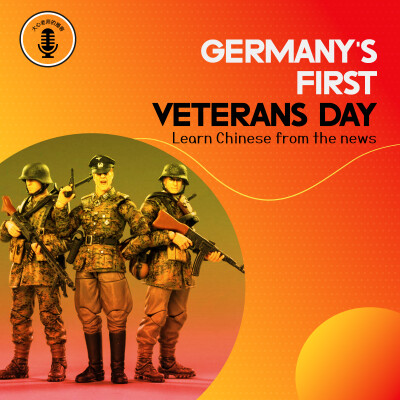 Germany's First Veterans Day cover