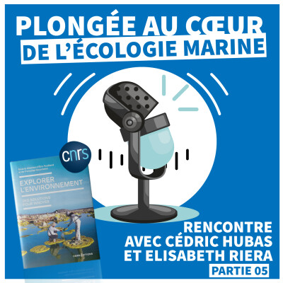 EXPLORER L'ENVIRONNEMENT | Au cœur de l'Écologie Marine [Épisode 05] cover