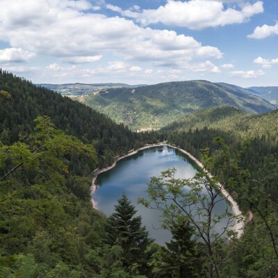 Sur les sentiers de la Violette : balade gourmande dans les Vosges cover
