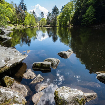 Au cœur du massif des Vosges : immersion dans la fraîcheur de la Wormsa ! cover