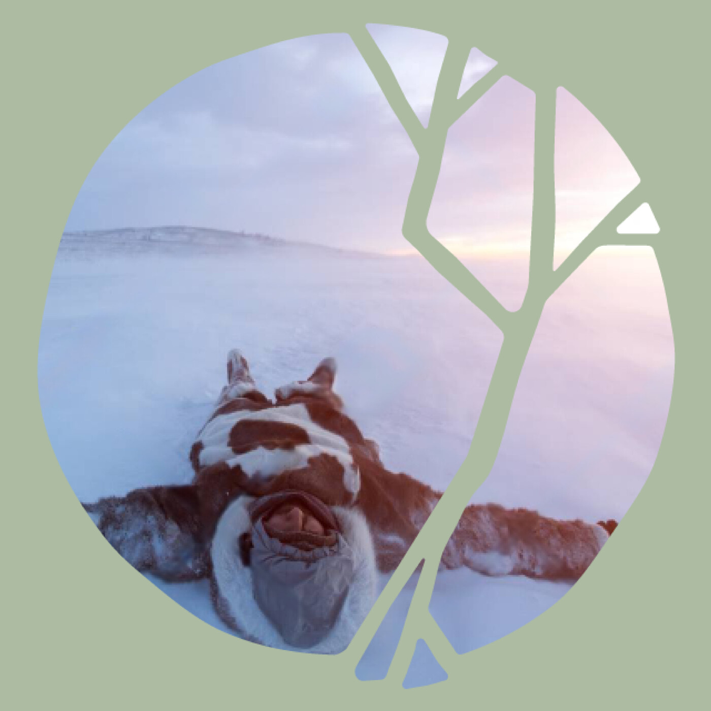 SUICIDE PARENTAL « Une fois que ma mère est partie, ce qu’il nous restait à faire c’était de réparer les vivants » SUICIDE PARENTAL « Une fois que ma mère est partie, ce qu’il nous restait à faire c’était de réparer les vivants »