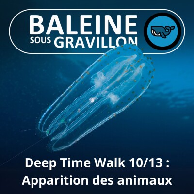 S06E71 La Marche du temps profond 10/13 : Les premiers animaux cover
