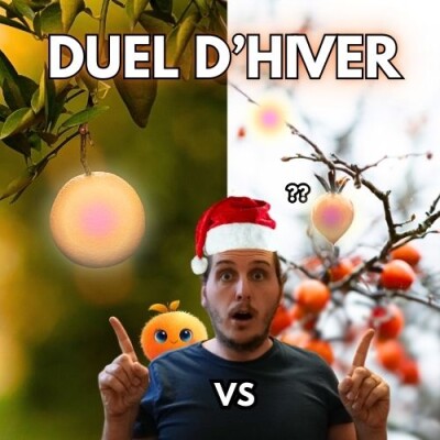 Je récolte 2 fruits en décembre… tu devines lesquels ? cover