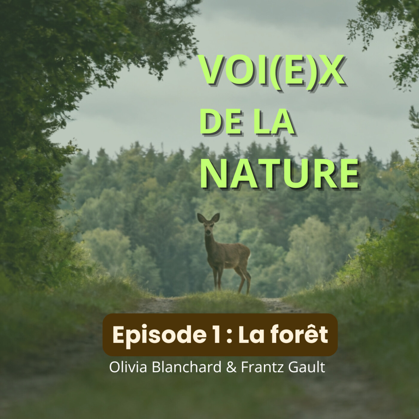 Les voi(e)x de la nature : épisode 1 les forêts episode artwork