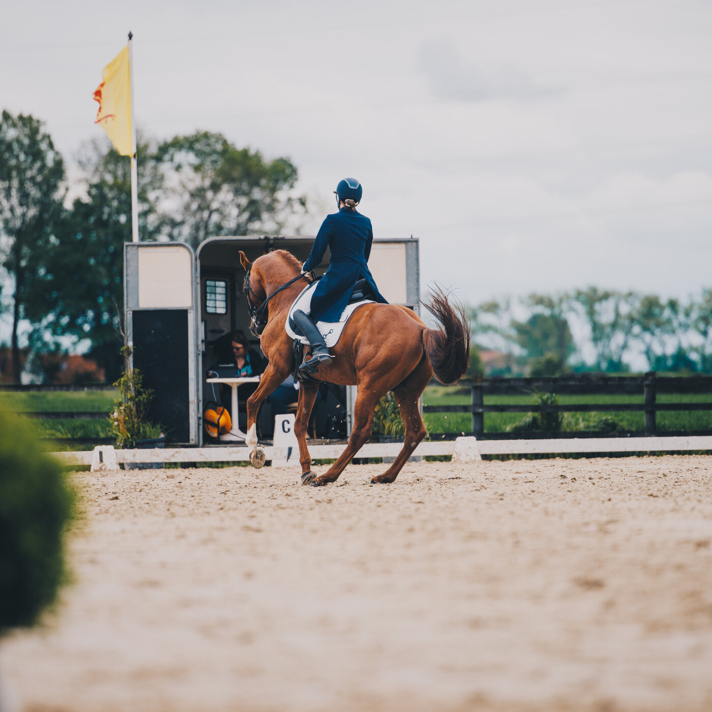 🐎 Le galop et les changements de pieds episode artwork
