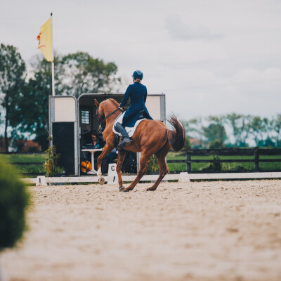 🐎 Le galop et les changements de pieds cover