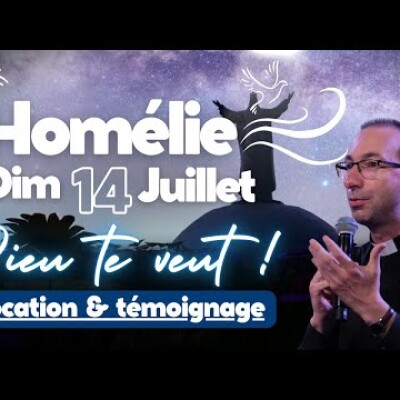 Dieu nous veut dans le témoignage ! Dimanche 14 juillet Commentaire de l'Evangile | Homélie cover
