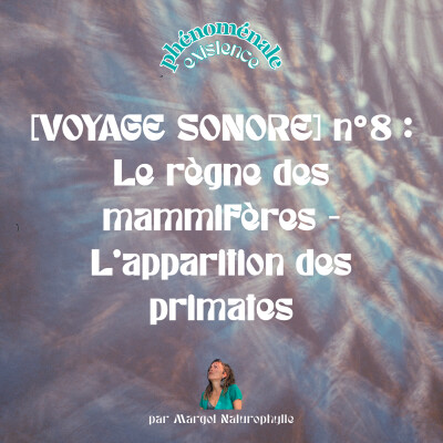 [VOYAGE SONORE] n°8 : Le règne des mammifères - L'apparition des primates cover