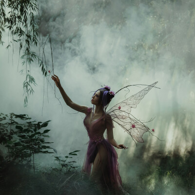 Hypnose Transpersonnelle®322 : Fée soignant par les plantes, Mission de sorcière, Besoin de solitude cover