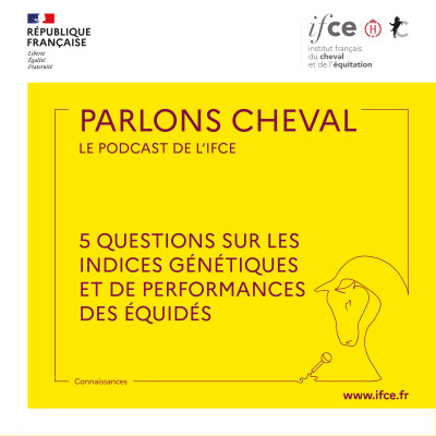 Ép. 82 | 5 questions sur les indices génétiques et de performances des équidés - Margot Sabbagh cover