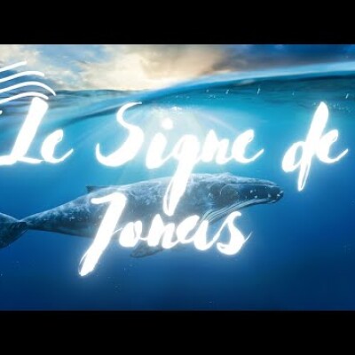 Écoute : Parole et Évangile du jour | Lundi 18 Juillet • Le Signe de Jonas : Explications cover